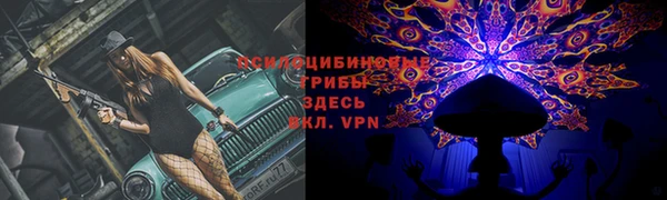 тгк Бронницы