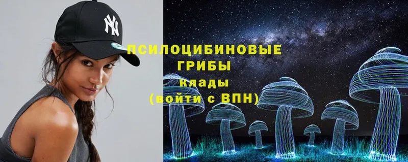 как найти наркотики  Северская  Галлюциногенные грибы Magic Shrooms 